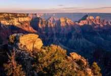 20 Reasons The Grand Canyon Will Blow You Away pic of grand canyon