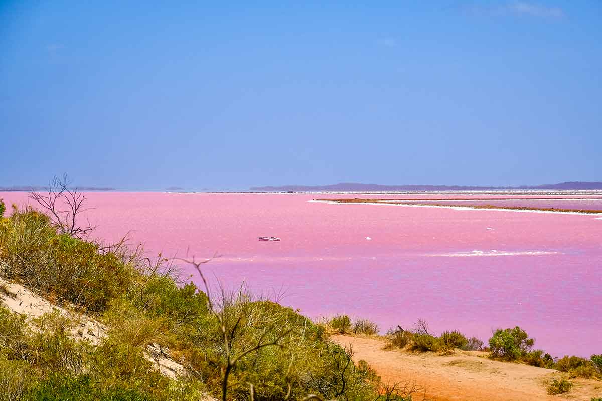 pink lakes in western australia