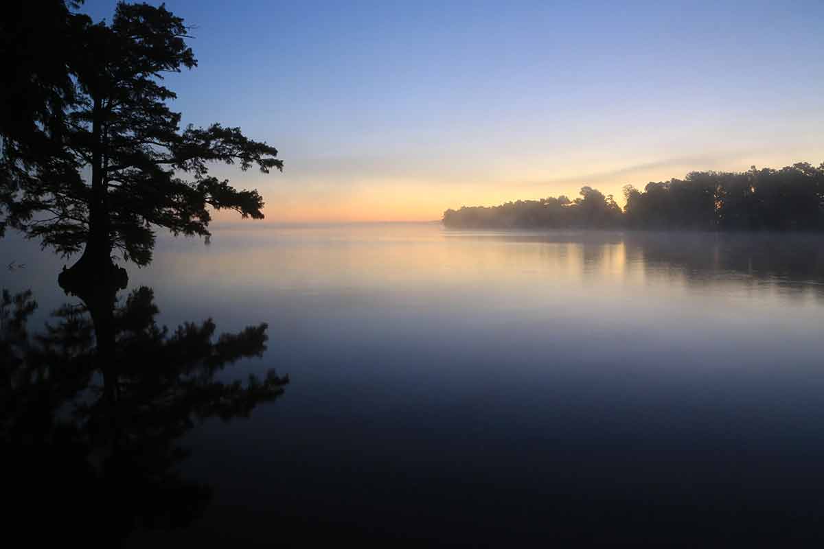 reelfoot lake state park tennessee
