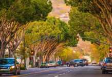San Diego To San Francisco: The Ultimate California Coast Road Trip san francisco to san diego drive street with trees in santa barbara