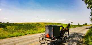 closed grey buggy riding through the countryside