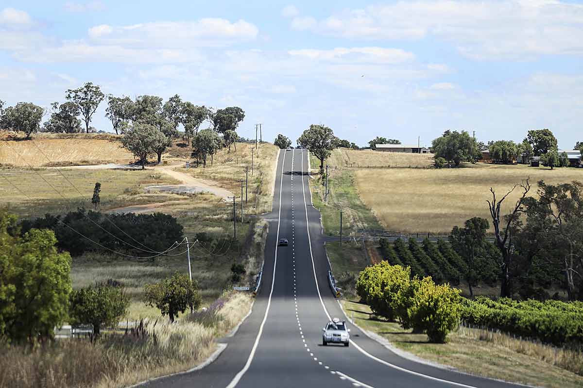 long country road through the vineyards in Mudgee