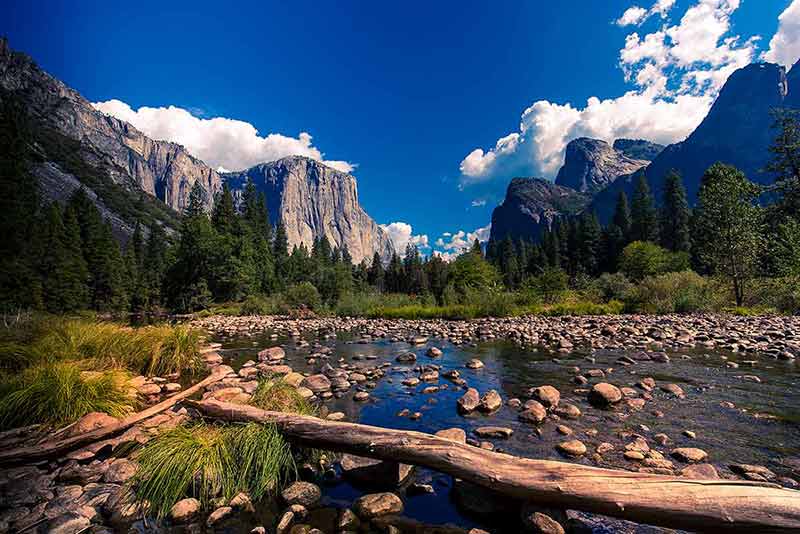 songs about the california gold rush Yosemite National Park