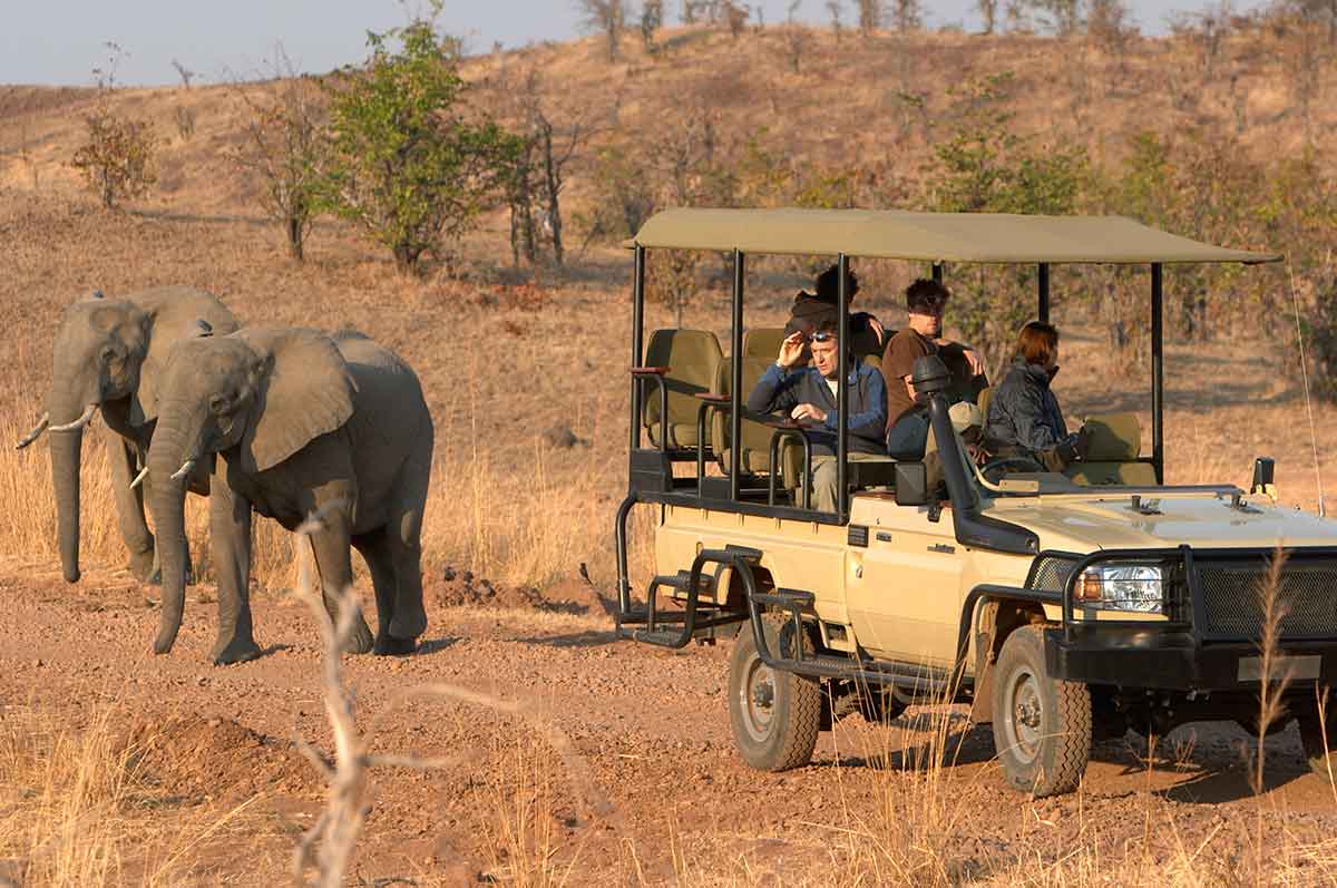 south luangwa safari vehicle next to elephants