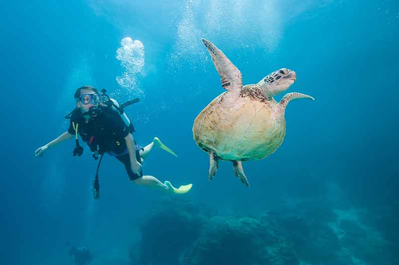 southern great barrier reef day trips