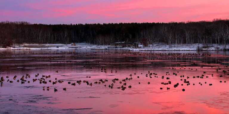 20 Illinois State Parks To Visit In 2024   Southern Illinois State Parks 768x384 