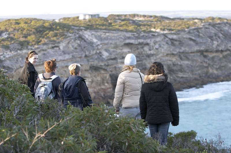 Bush walking is a great way to see the cliffs