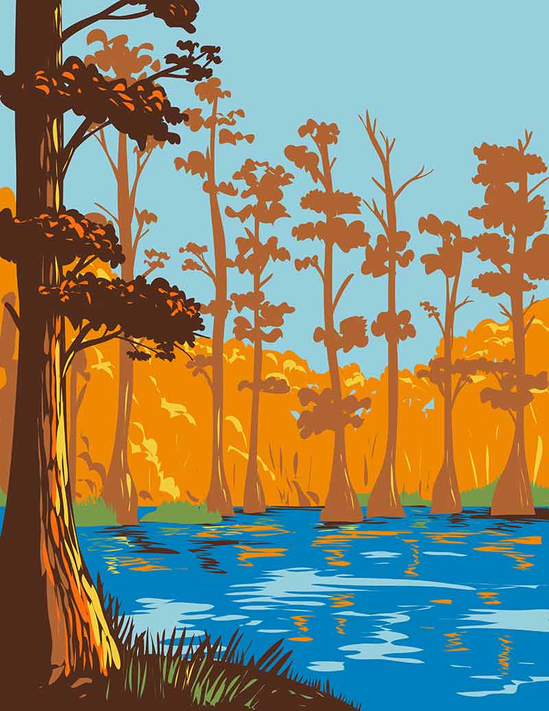 A drawing of autumn trees in cane creek
