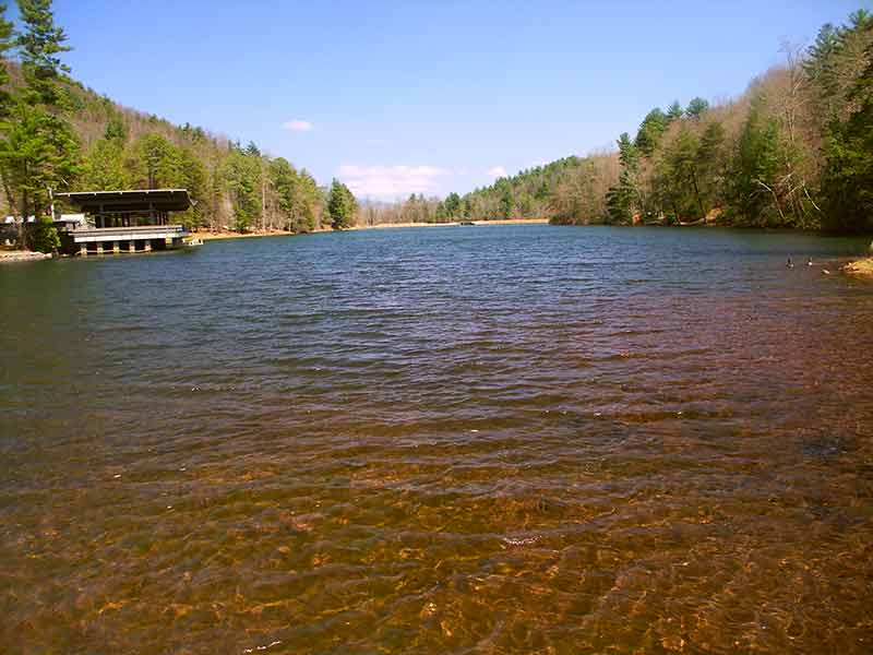 the river in vogel state park