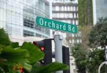 Your guide to shopping in Singapore that will test your self-control Orchard Road Sign And Buildings