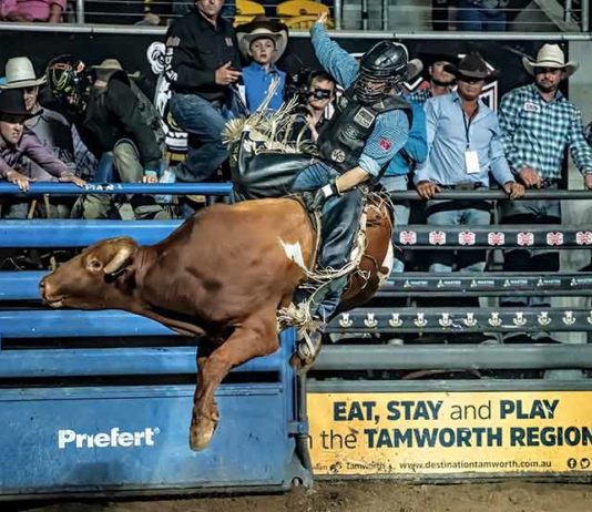 tamworth Xtreme Bulls rodeo