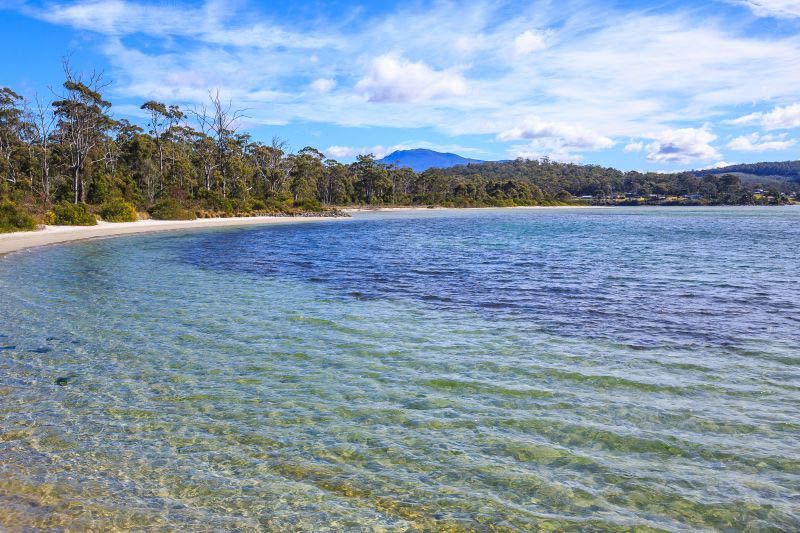 what to do in tasmania