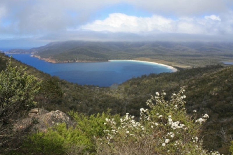 Tasmanian Expeditions