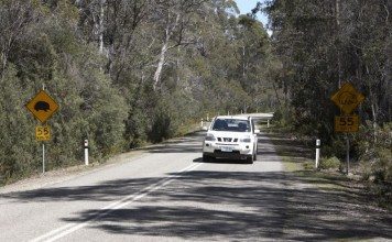 self drive tasmania