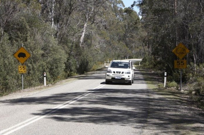Tasmania road trip self drive tasmania