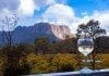 The Best Places To See Wildlife In Tasmania wildlife tasmania