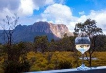 The Best Places To See Wildlife In Tasmania wildlife tasmania