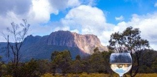 wildlife tasmania