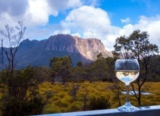 The Best Places To See Wildlife In Tasmania wildlife tasmania
