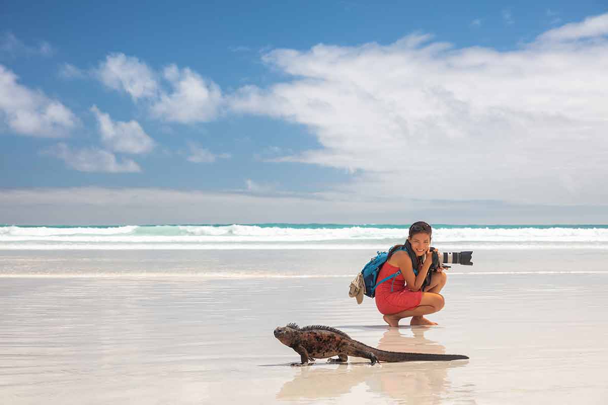 Photographer On Galapagos Beach With Iguana