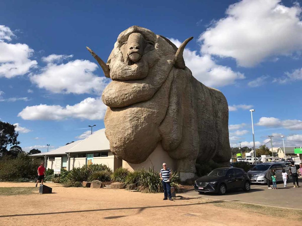 the big merino australian landmark