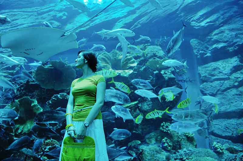 things to do at night in dubai young woman with big aquarium in backgrond