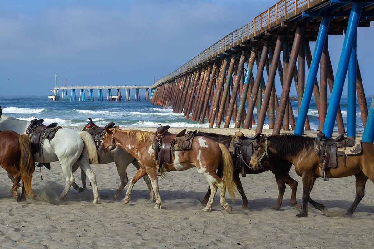 things to do ensenada Rosarito beach horses on the sand beneath the pier