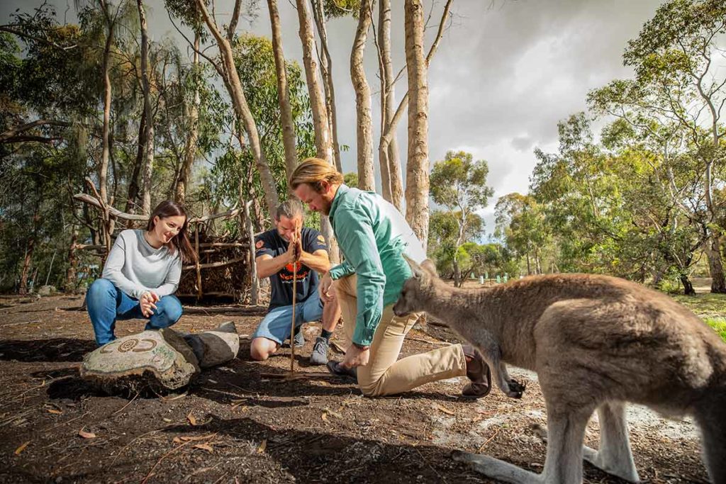 things to do geelong - feed a kangaroo at Narana Aboriginal cultural centre
