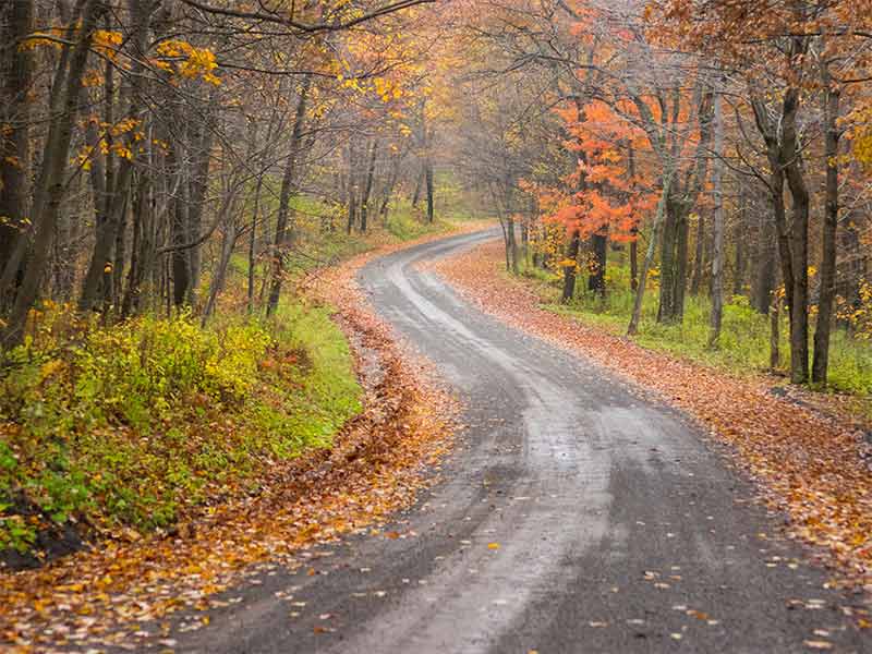 things to do in altoona pa area fall colours