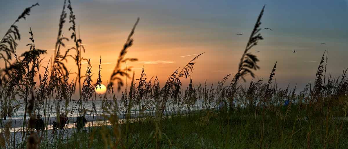 things to do in anna maria island fl