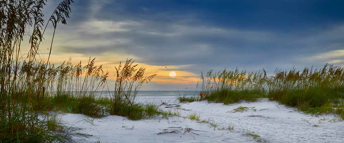 things to do in anna maria island today