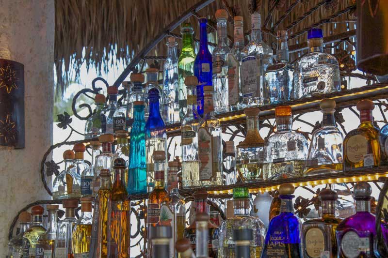 tequila bar in baja california