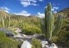 things to do in baja mexico 7
