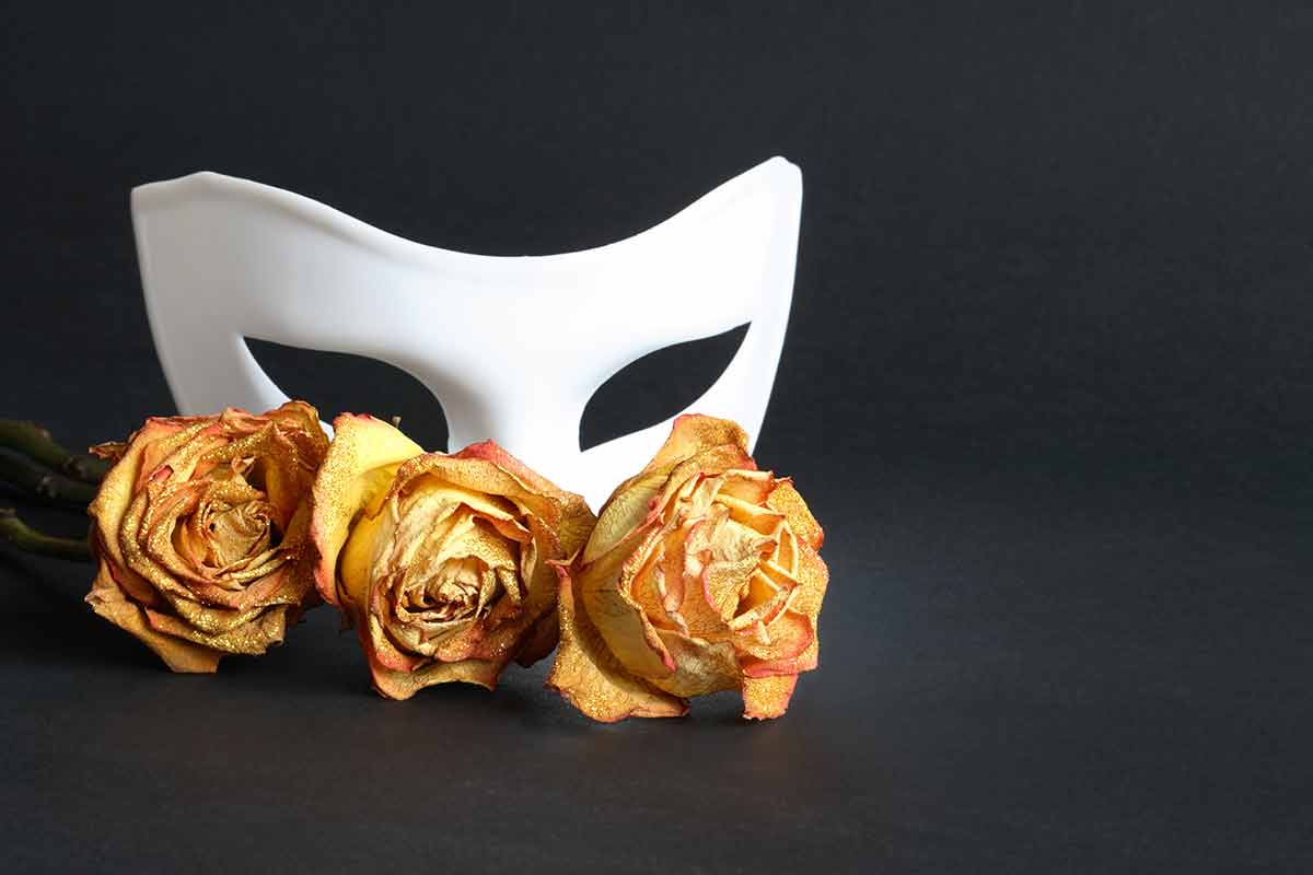 things to do in berkeley ca White venetian mask and dry yellow roses on black background