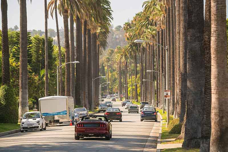 things to do in beverly hills for free cars driving down the street through an avenue of palms