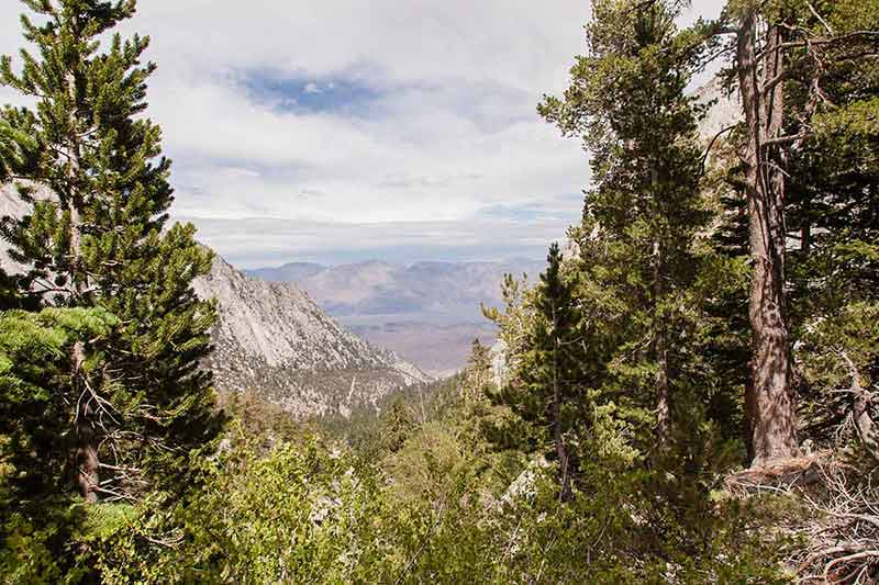 things to do in bishop mt whitney trail