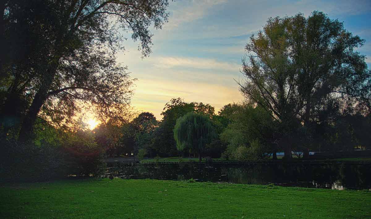 Beautiful Sunset In The Rheinaue Park Next To A Pond