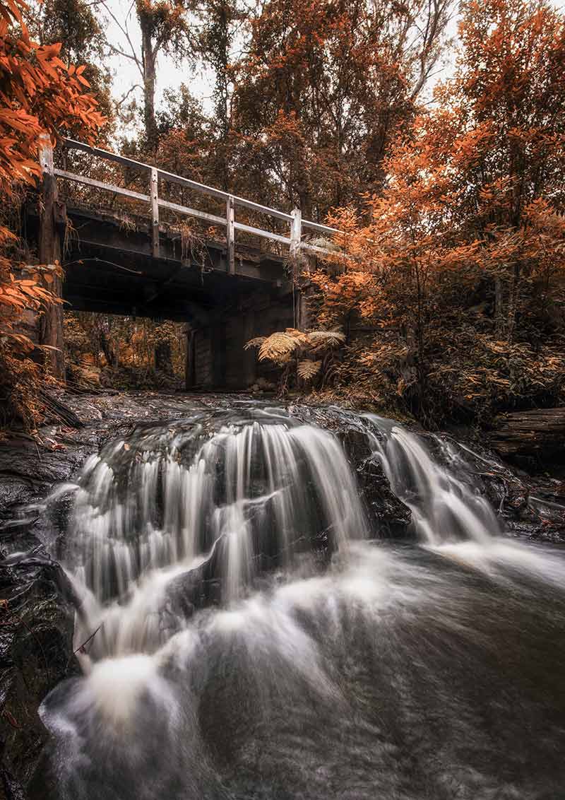 belmore falls in autumn