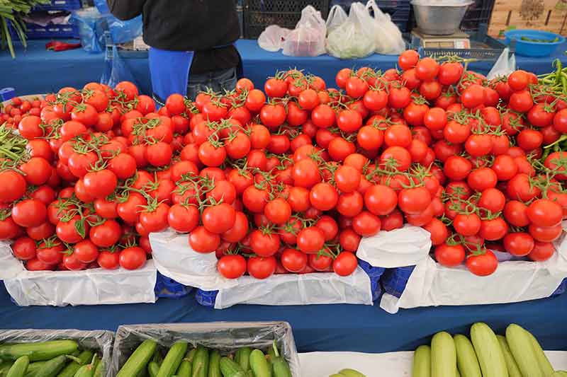 Cherry Tomato Selling At Farmers Market