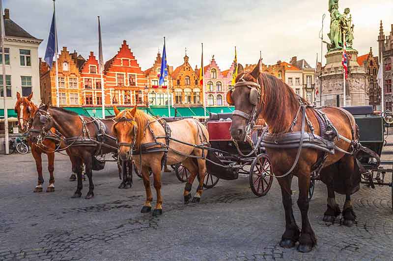 things to do in bruges for families