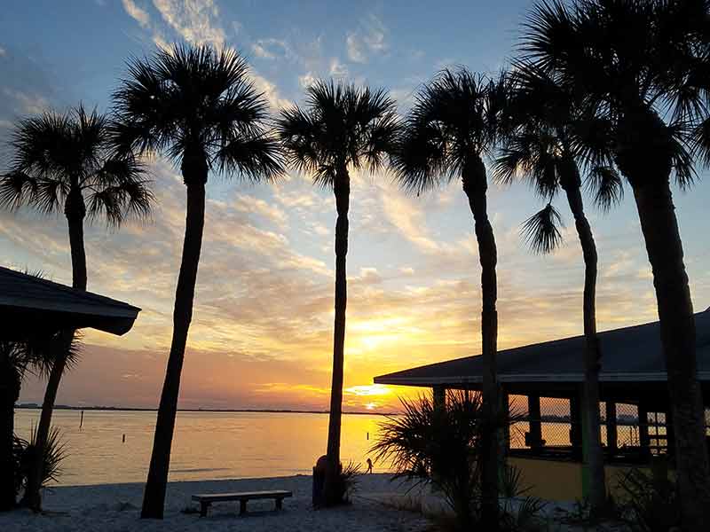 20 Things To Do in Cape Coral