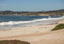 20 Things To Do In Carmel That Feel Straight Out of a Storybook Carmel, California Beach