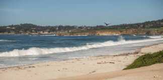 Carmel, California Beach