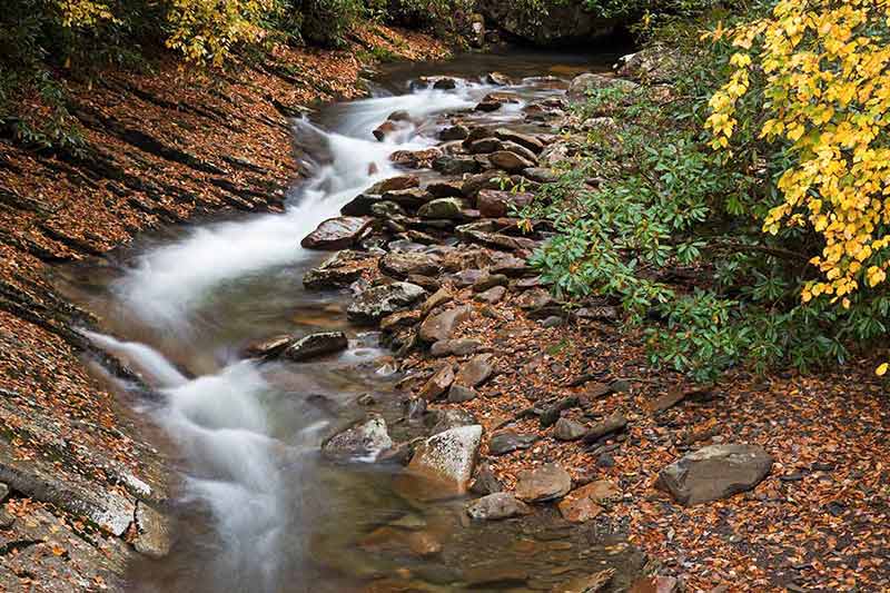 things to do in cherokee nc in january