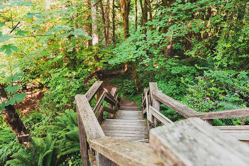 things to do in corvallis or Wooden boardwalk trail
