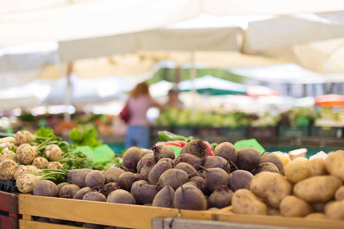 things to do in corvallis this weekend stall with variety of organic vegetable