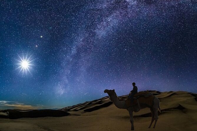 Doha Night Desert Safari Camel Ride Dune Bashing with Transfer