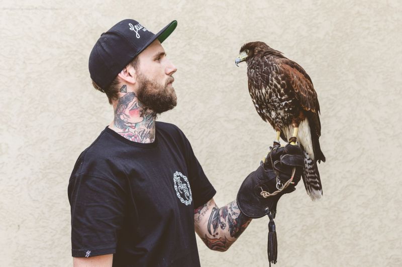 Steen Jones with the falcon