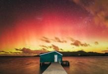 things to do in dunedin