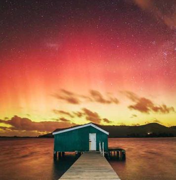 things to do in dunedin